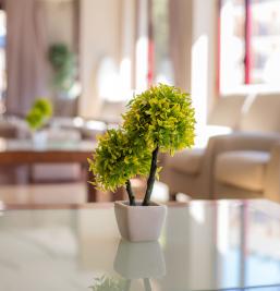 Galerie photo de l'Hotel Acacias Suites & Spa
