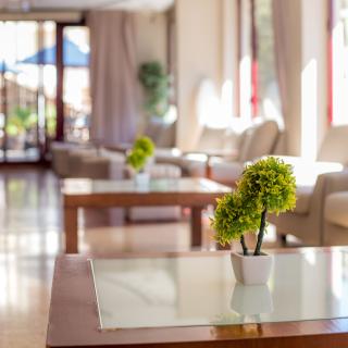 Bienvenue à l'Hotel Acacias Suites & Spa