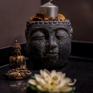 Bienvenue à l'Hotel Acacias Suites & Spa